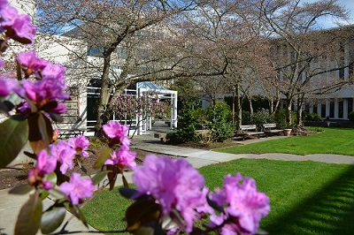 healinggarden_cherryblossoms_spring2015-(1)(1).jpg