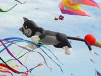 Cat balloon and colorful kites